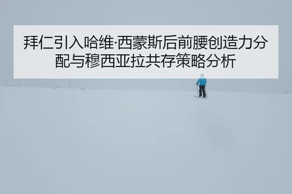 bai-ren-yin-ru-ha-wei-xi-meng-si-hou-qian-yao-chuang-zao-li-fen-pei-yu-mu-xi-ya-la-gong-cun-ce-lve-fen-xi-2-119.jpg